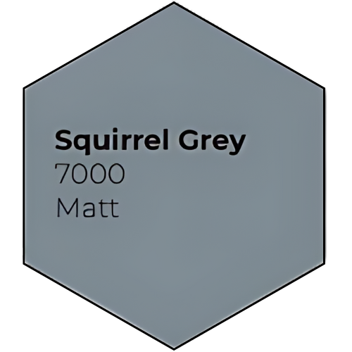 Squirrel Grey
